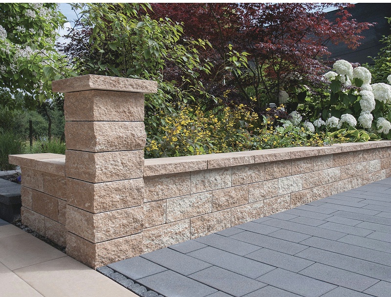 微信圖片_20241105085445