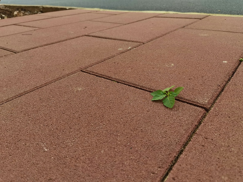 生態(tài)透水PC磚