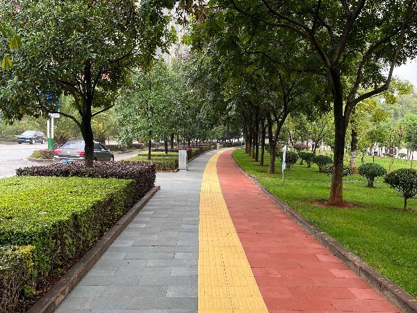 昆鋼舊城改造、知青林大道