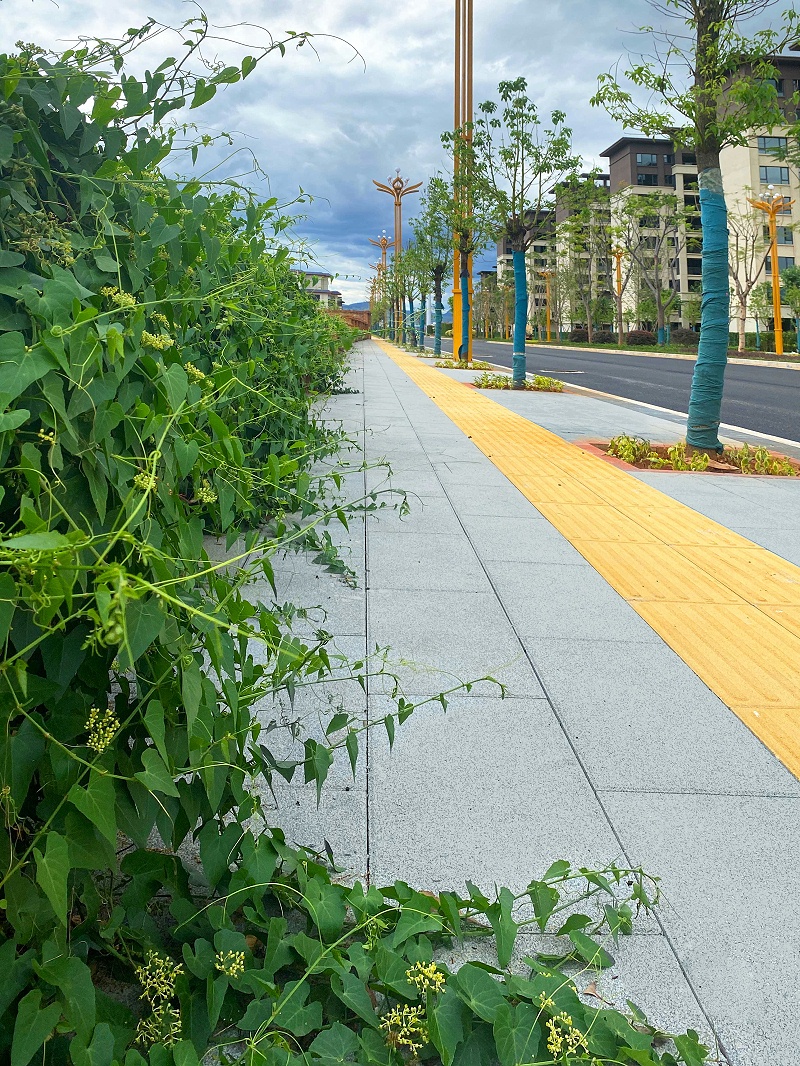 市政道路透水磚